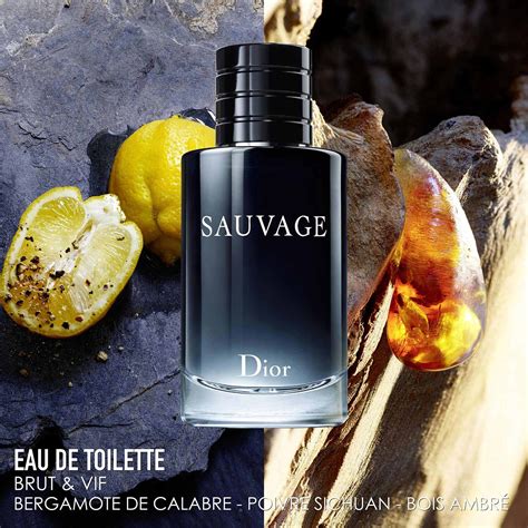 sauvage eau de toilette dior